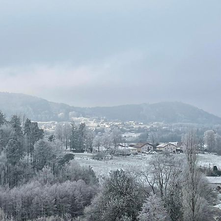 Gite Des Brimbelles La Neuveville-Devant-Lepanges Exterior foto