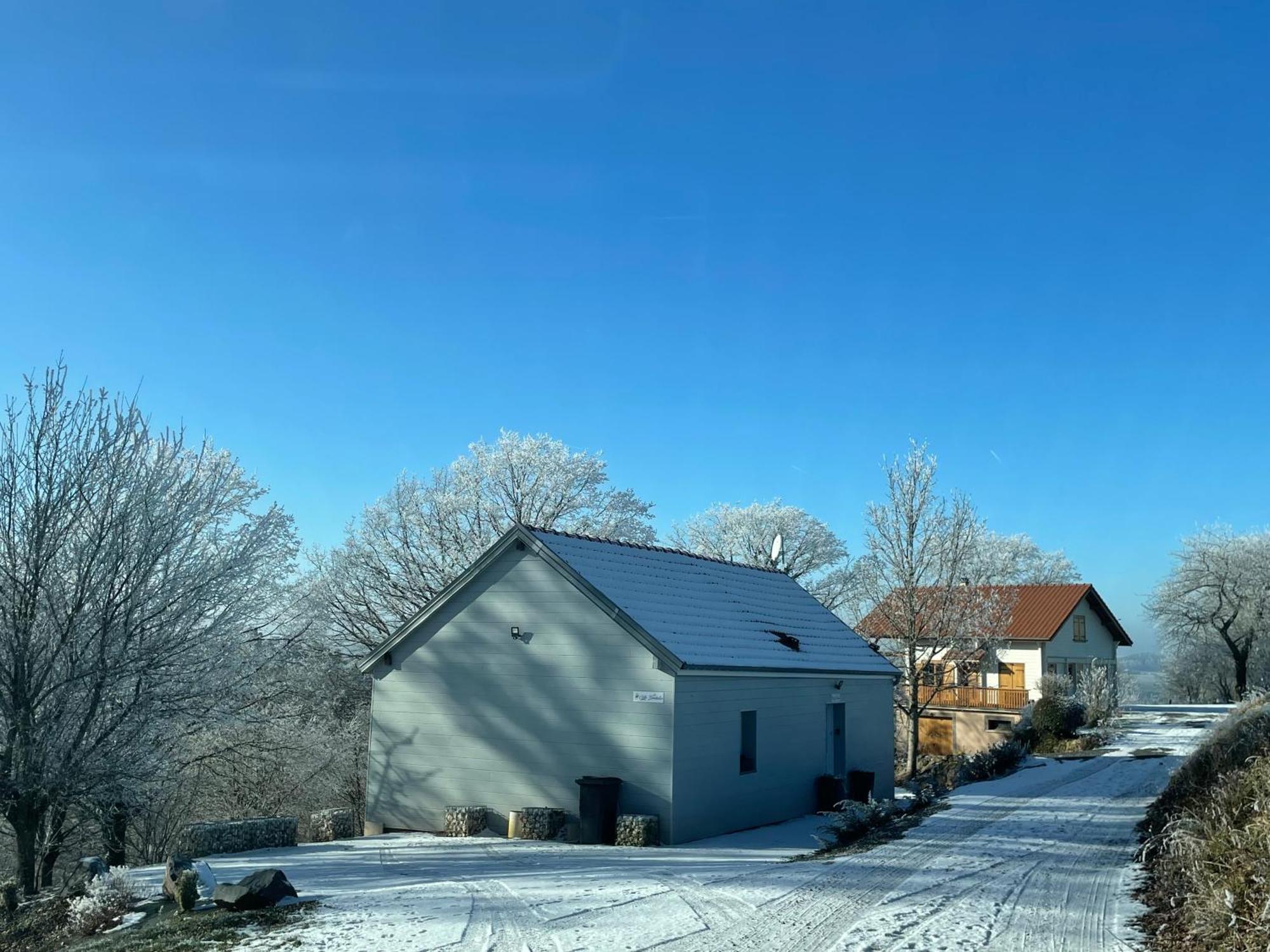 Gite Des Brimbelles La Neuveville-Devant-Lepanges Exterior foto